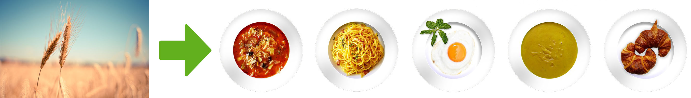 food-saefty-vom-Feld-bis-zum-teller.jpg